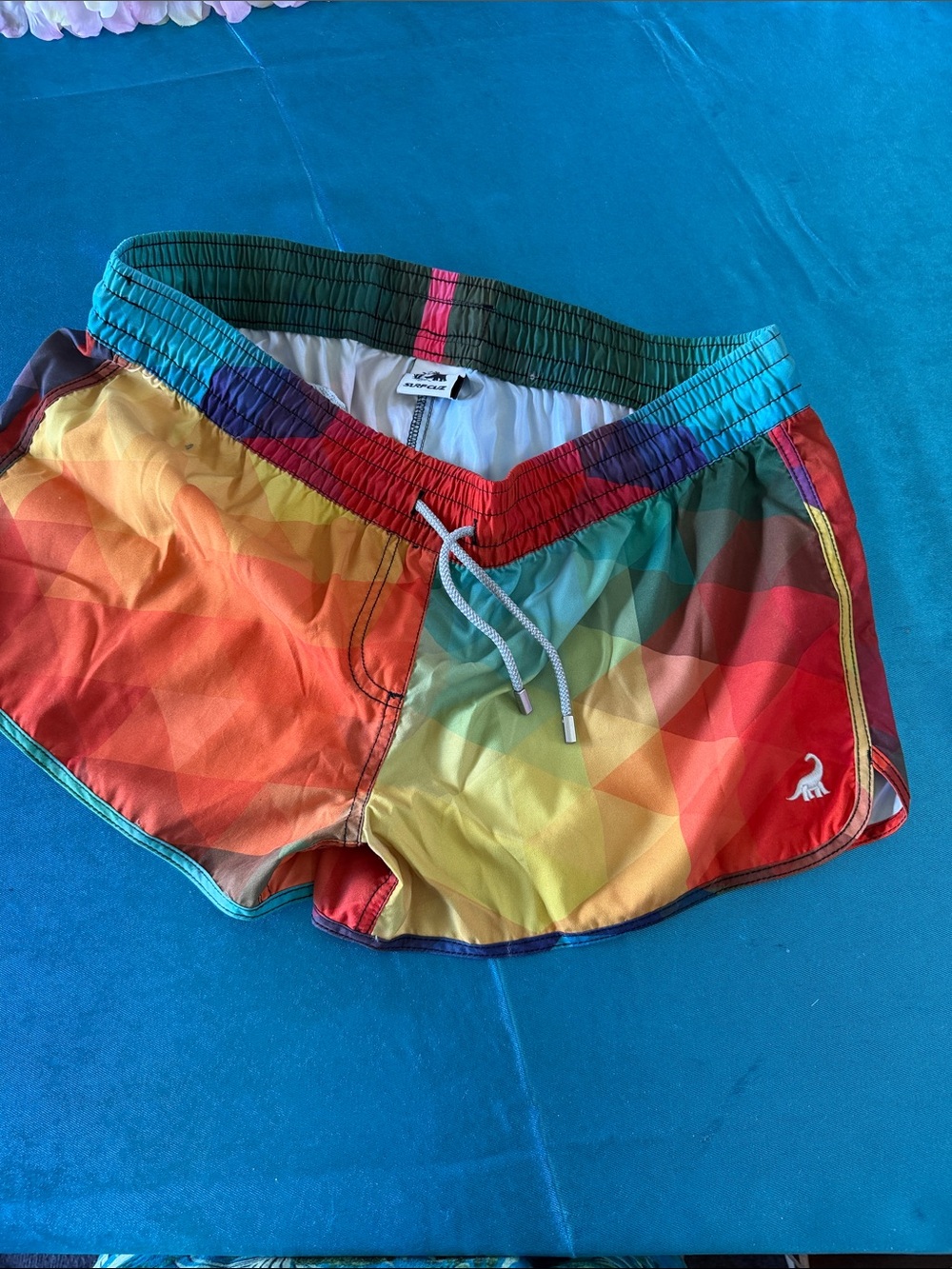 Rainbow Geometric Womens Swim Shorts